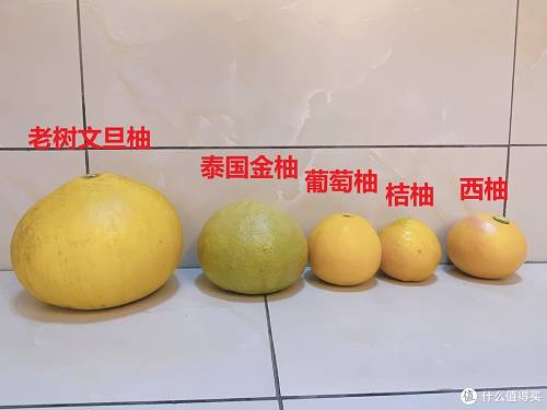 柚子买很多家是正品吗，柚子买很多是正品吗-第2张图片-新品图解