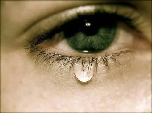 眼睛干涩并伴有流泪的情况，可能涉及这6个原因