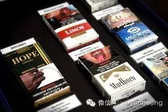 蒸汽烟和电子烟哪个好_电子烟和烟谁人危害大_上海买电子烟